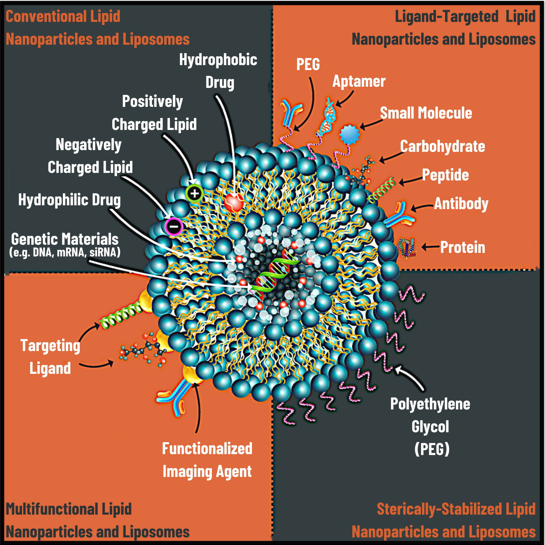 Lipid Nanoparticles and Liposomes: Clinical Breakthroughs by Lipid Nanoparticles