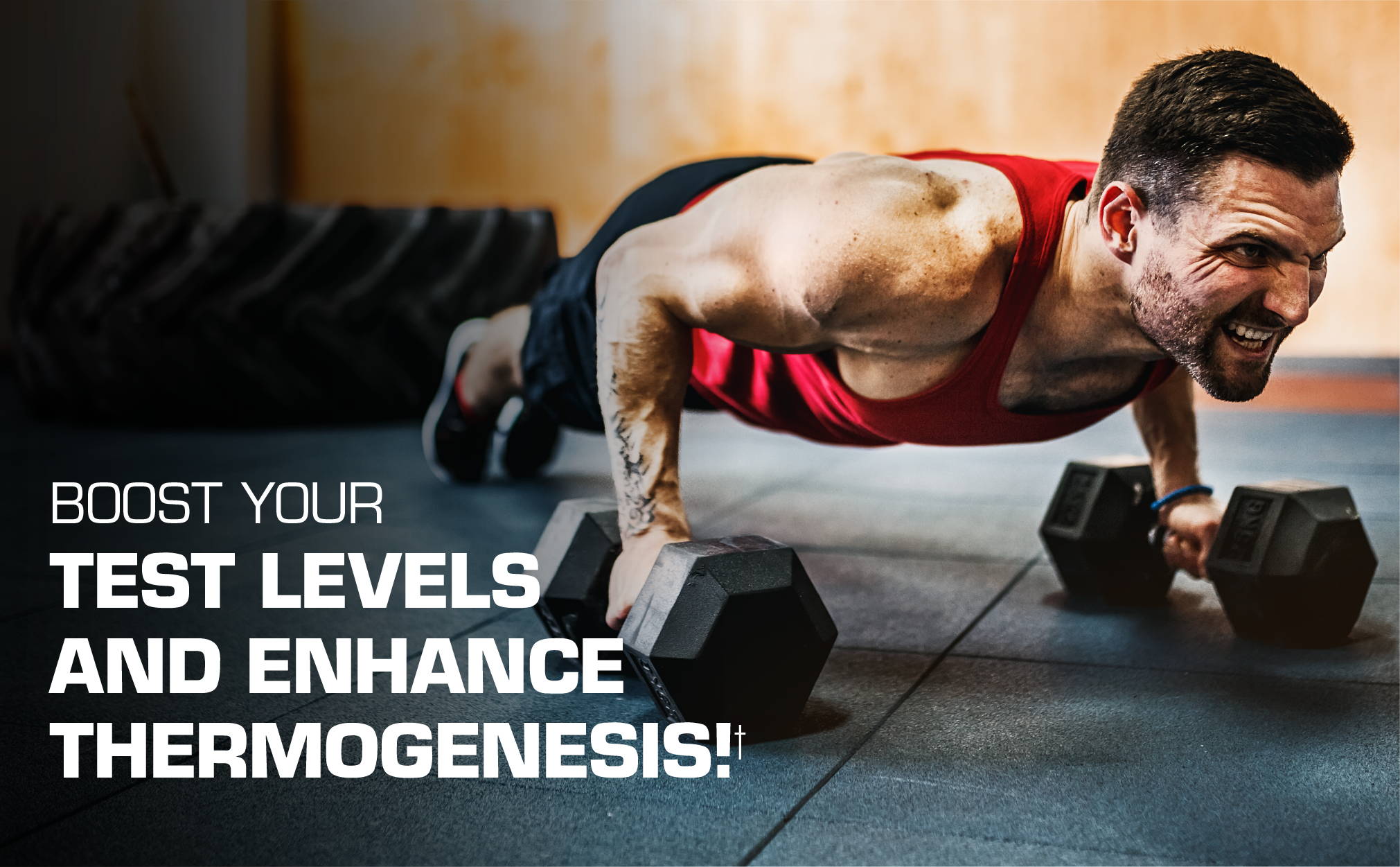 Boost Your Test Levels and Enhance Thermogenesis