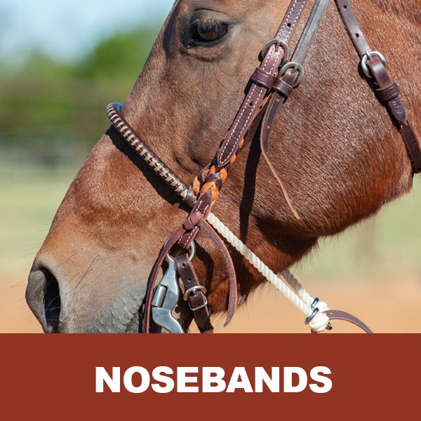 Close-up of a horse's head with a bridle featuring nosebands.