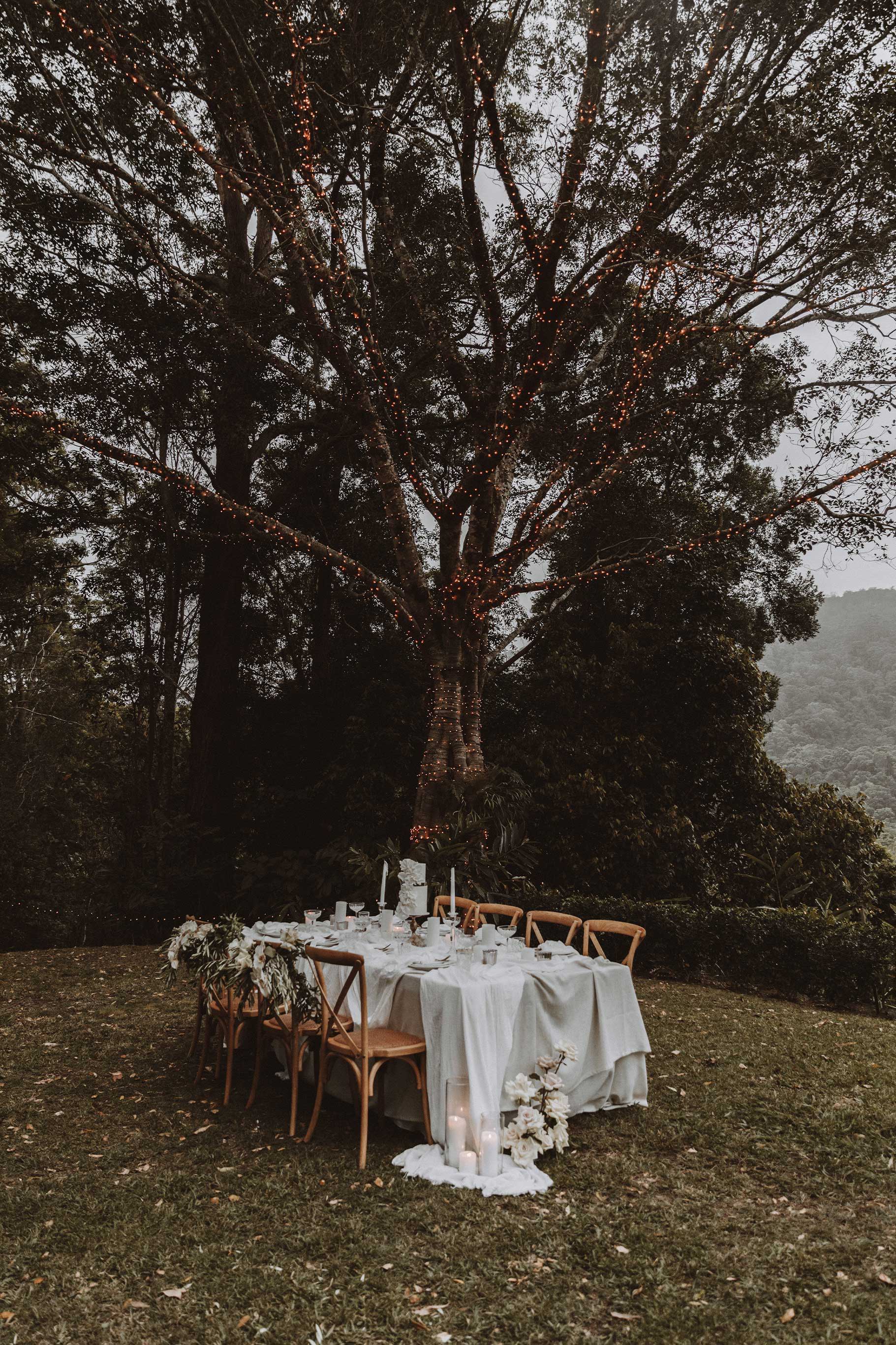 Wedding table layout amongst forest trees on a hill. Fairy lights on the trees