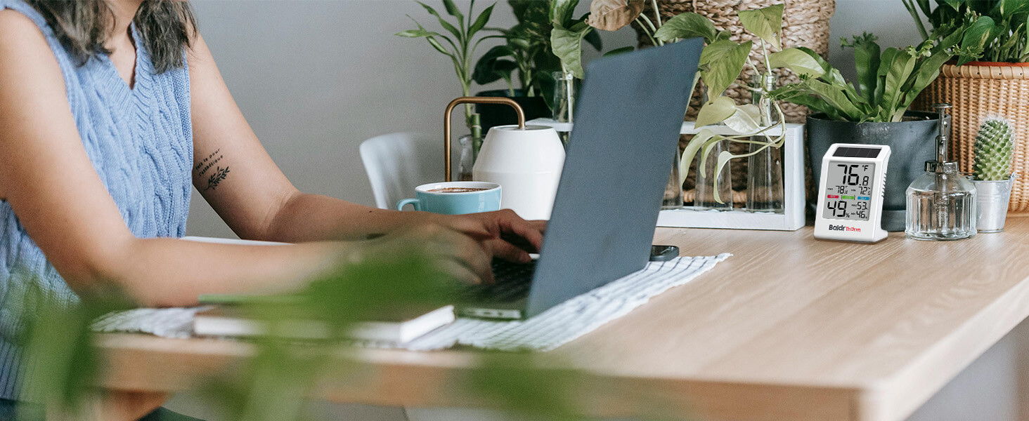 Person typing on a laptop at a desk with plants.