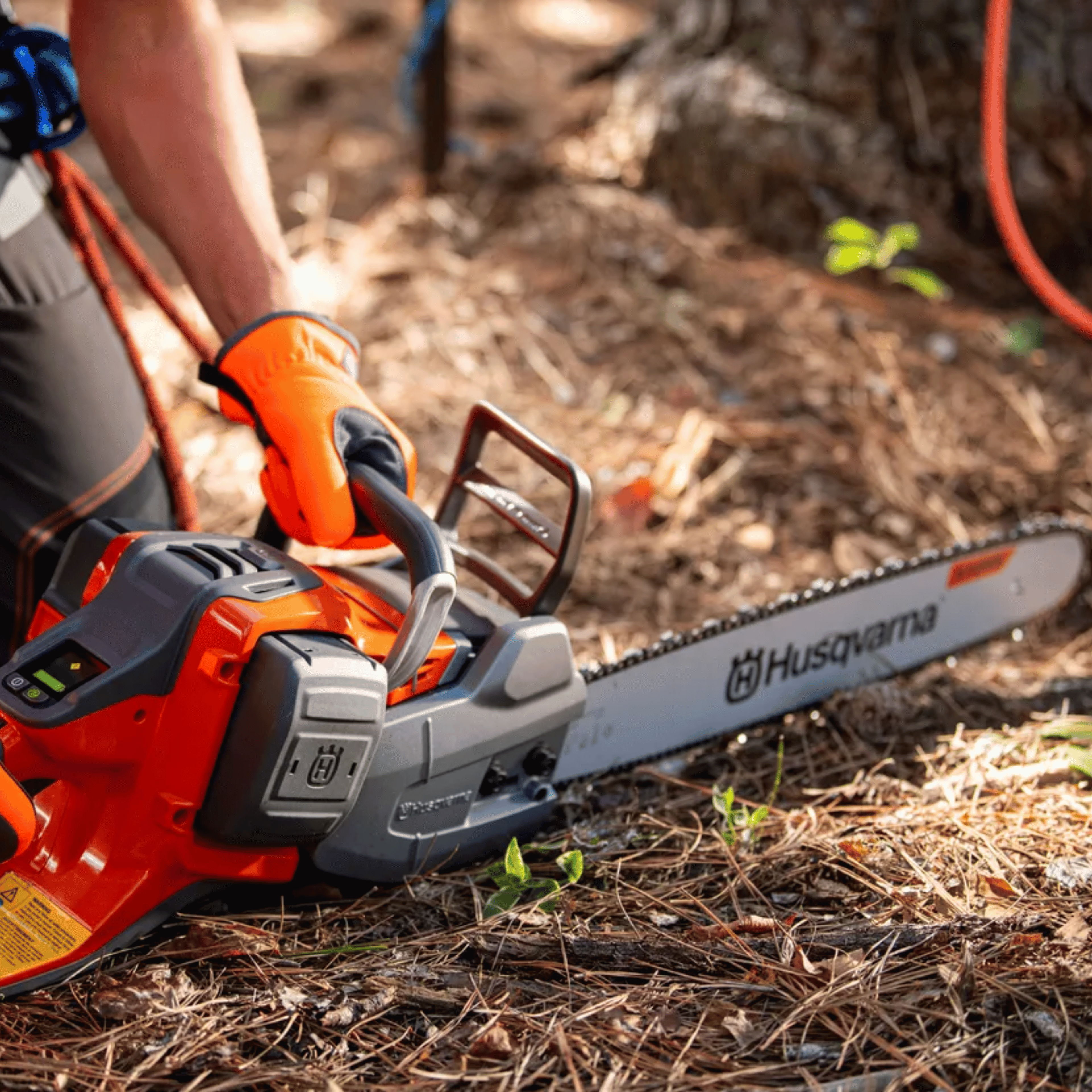 Person using a chainsaw on the ground near a tree.