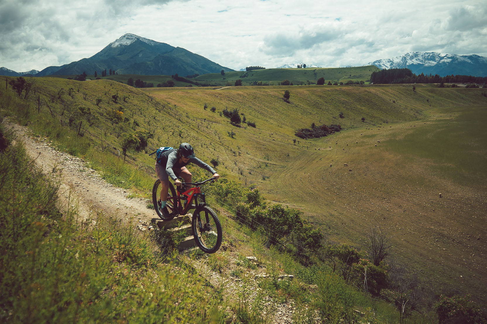 Mountain Bike Shorts