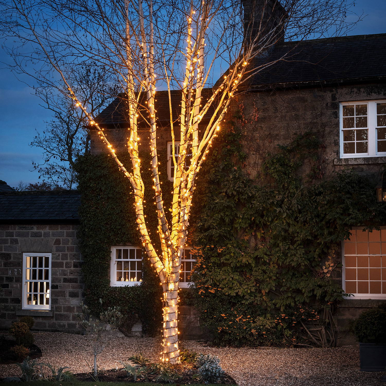 A large tree wrapped in warm white string lights in front of a stone house
