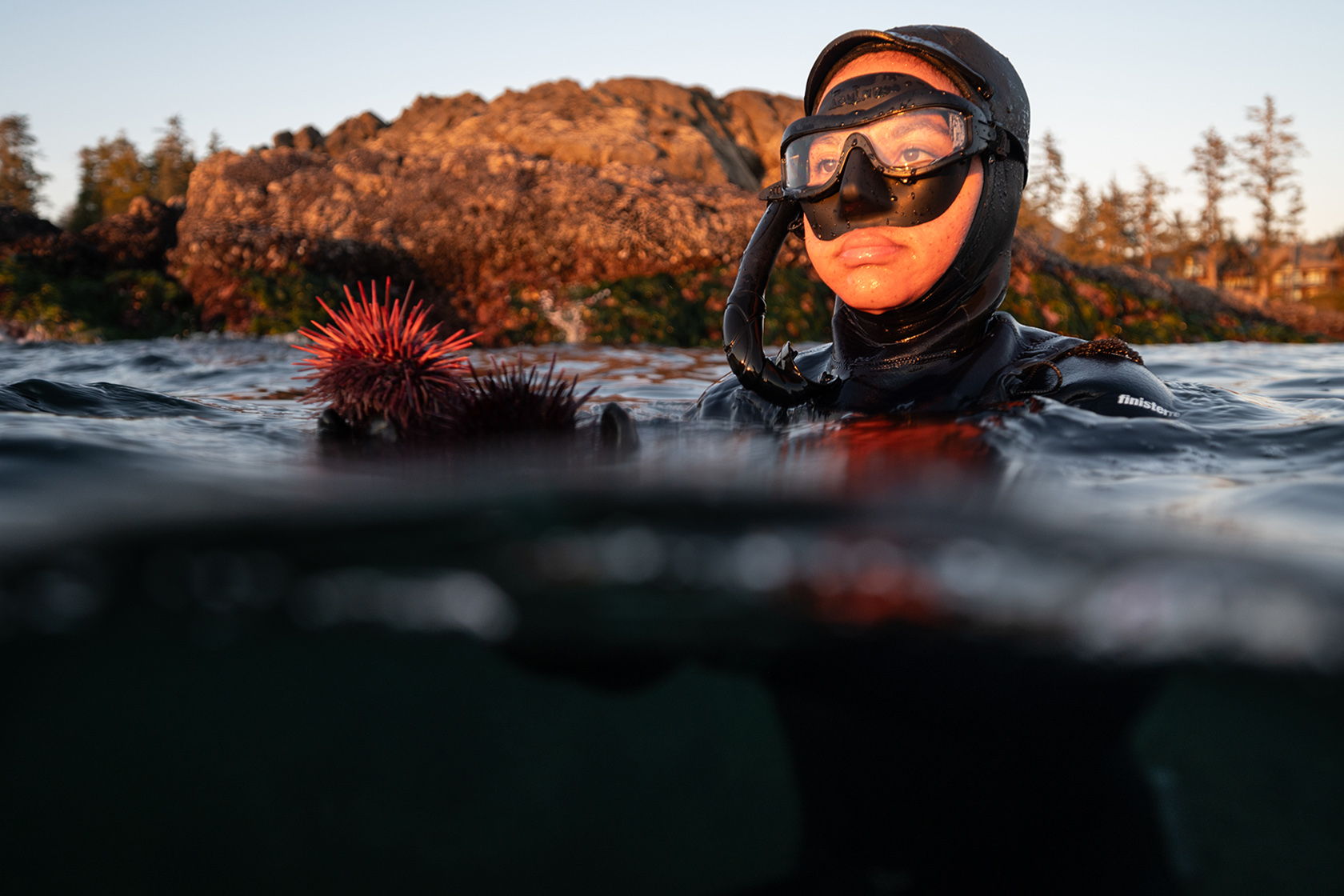 Diver holding a sea urchin in calm waters with rocky background.