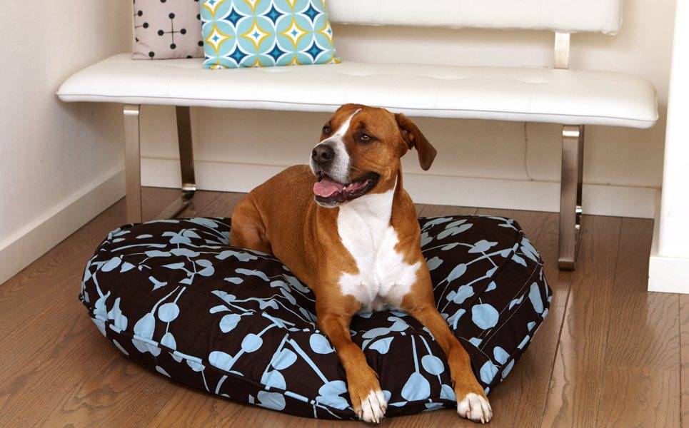 Kirkland Dog Bed Replacement Cover 42 Inch Round Beds Molly Mutt - Back Seat Cover For Dogs Costco