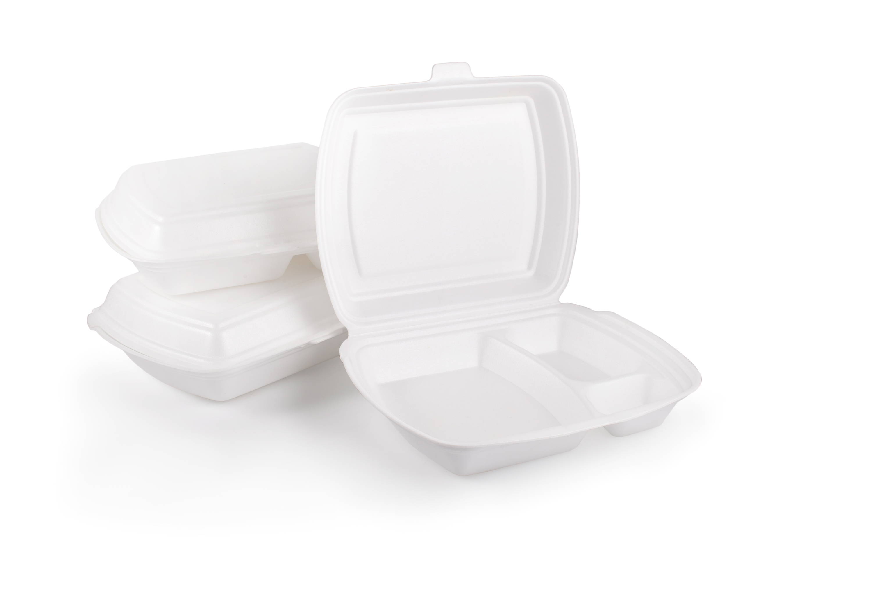 Takeout Container