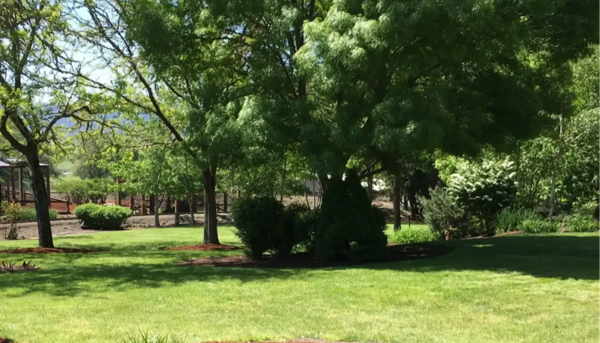 Outdoor Events Lawn at Wildlife Safari