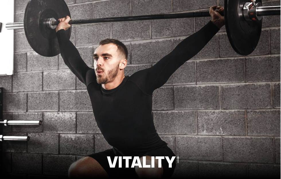 Vitality - a guy lifting weights in the gym