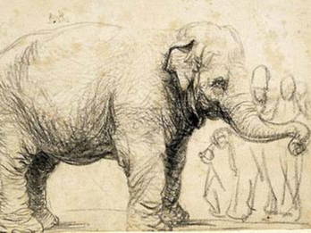 Rembrandt van Rijn, An Elephant, black chalk and charcoal, around 1637