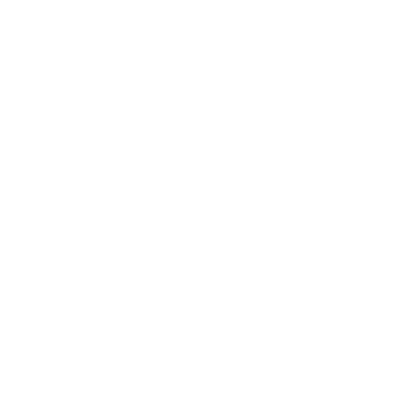 White shield icon