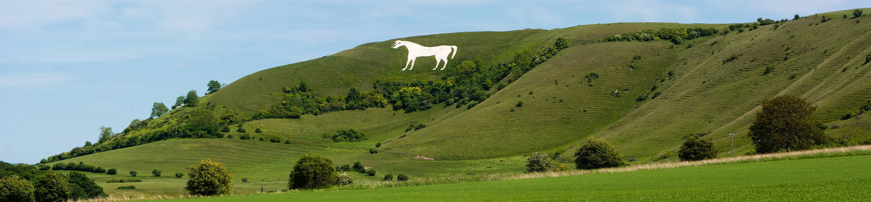 Westbury White Horse in Wiltshire