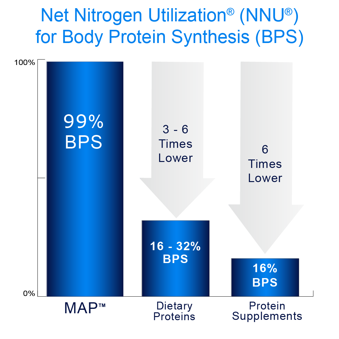 NNU for BPS