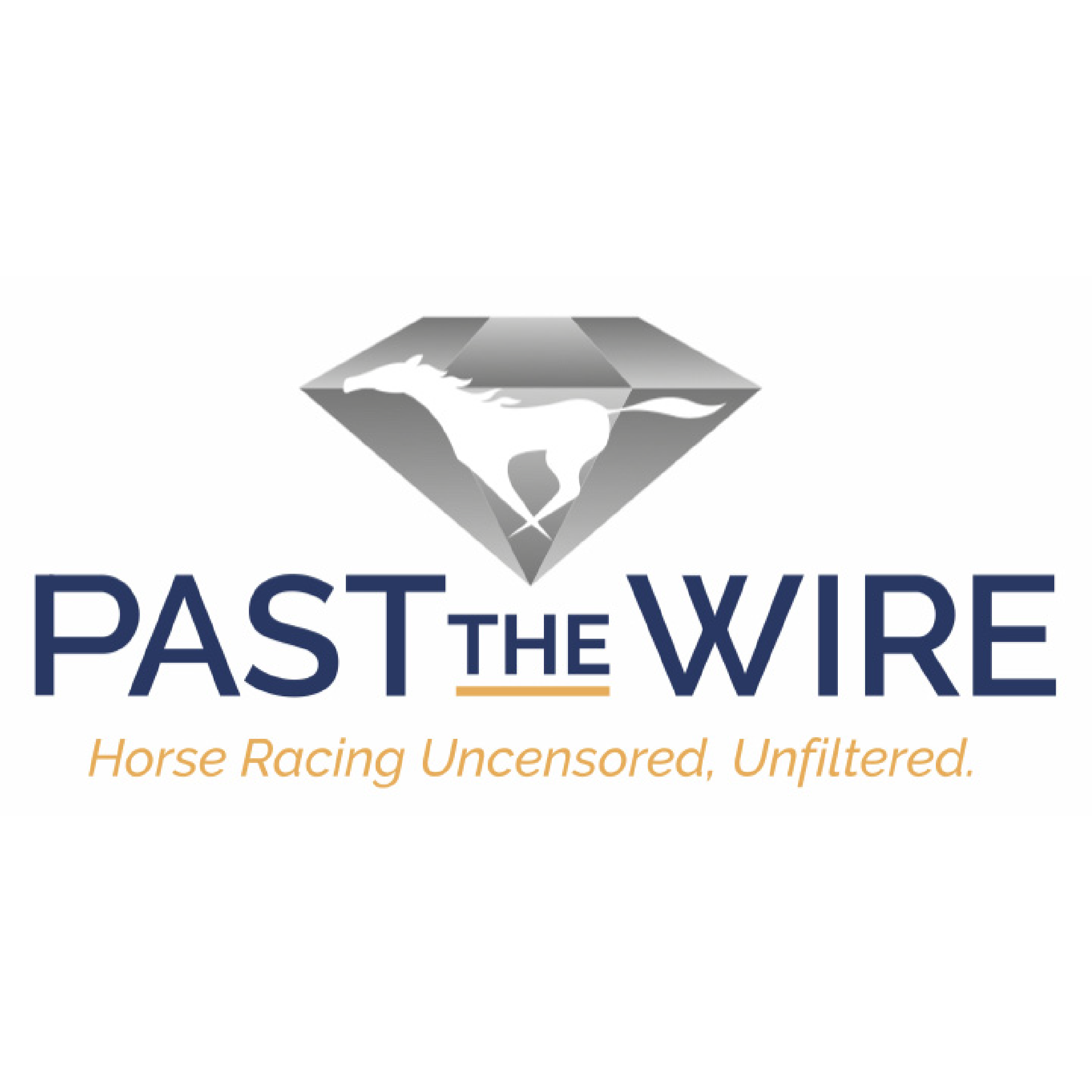 Past the Wire 