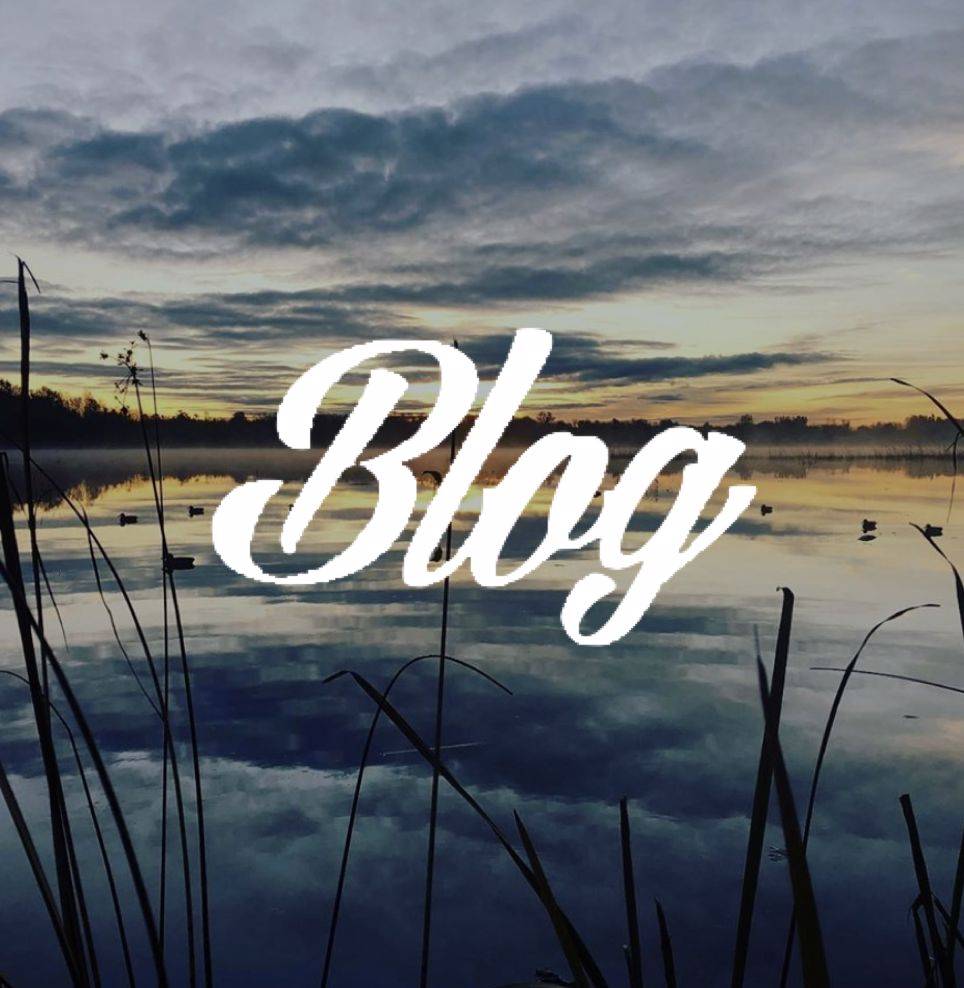 Duck Hunting Blog