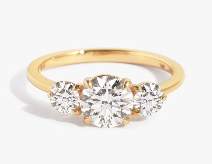 VRAI Engagement Ring Care Package Lifetime Shine Vrai