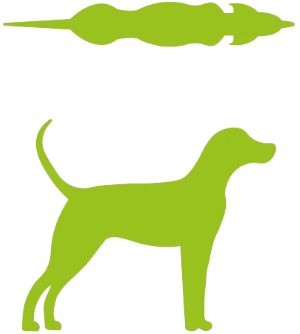 Download Cooking With Dog On Youtube