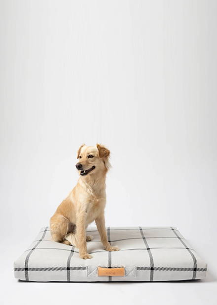 The LAY LO Dog Bed Cover – LAY LO Pets