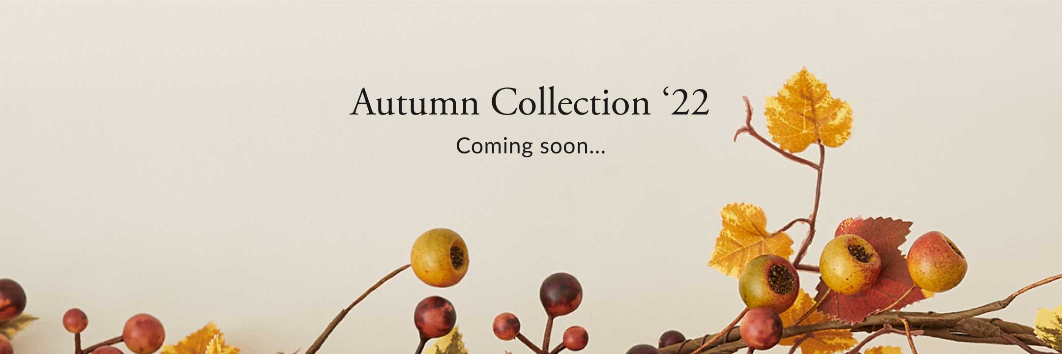 Autumn & Halloween 2022 collection coming soon banner
