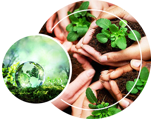 What Are The Benefits Of Growing A Vegetable Garden Ecogardener
