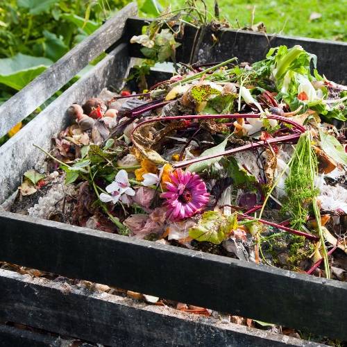 compost pile