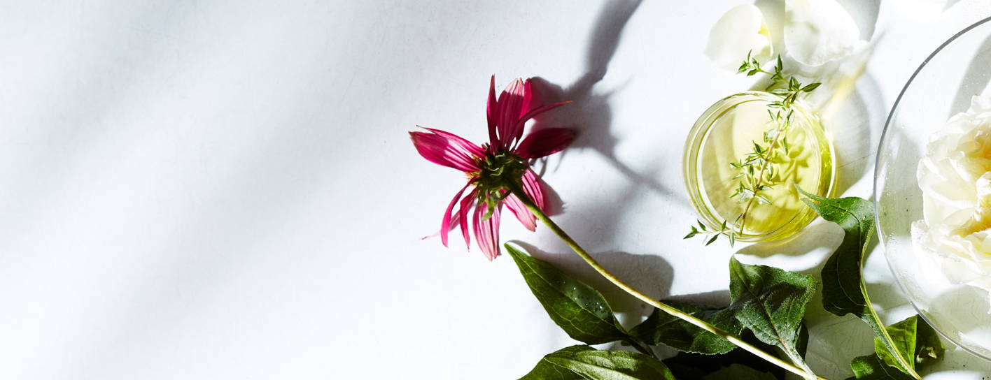 Natural ingredients laid on a table