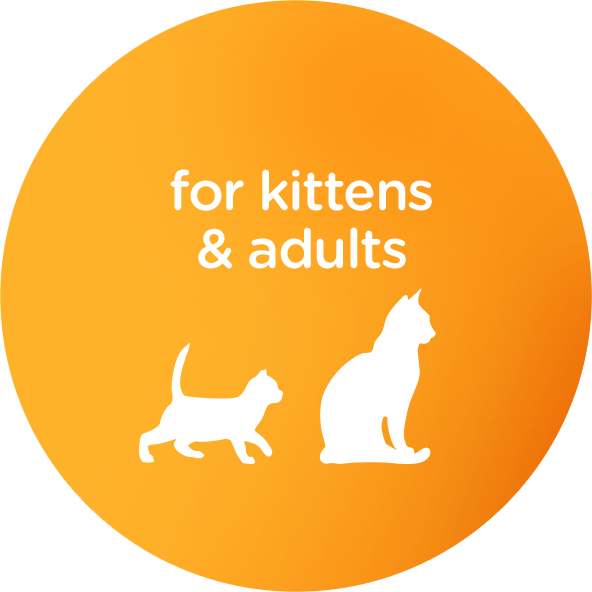 for kittens & adults