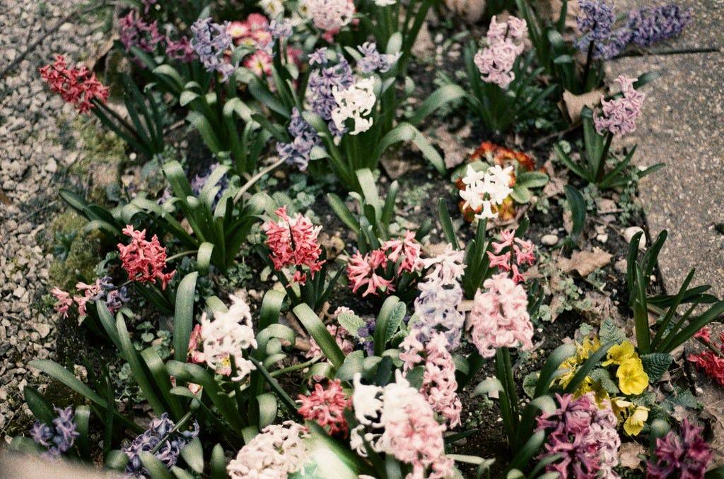 Lomography Metropolis Sample Shot - Emily
