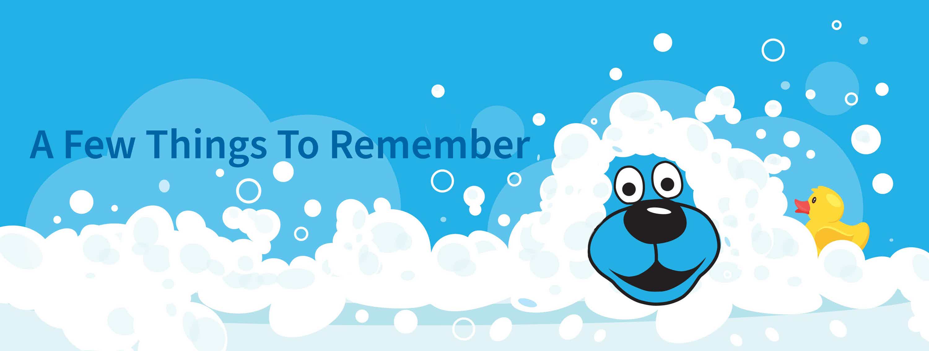 Find a DIY Dog Wash Near You