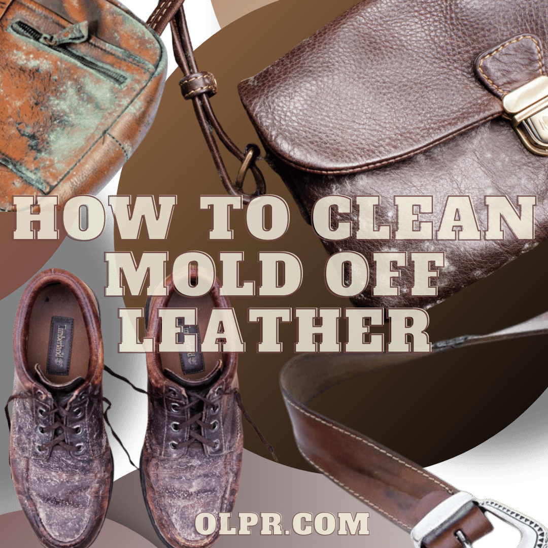 how to remove mold from leather