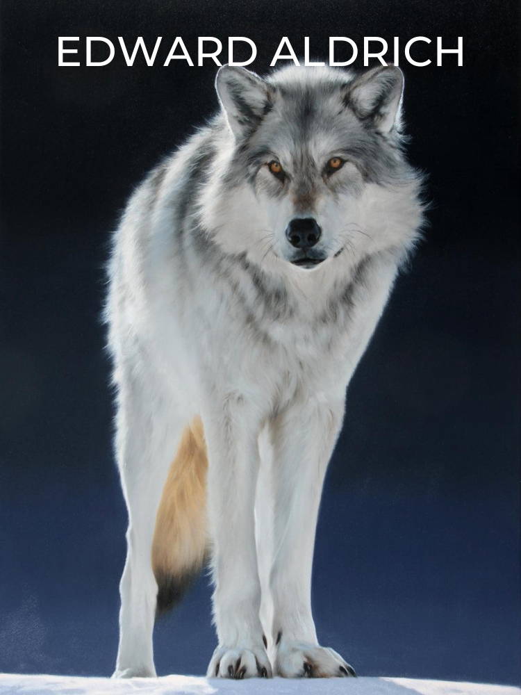 edward aldrich. wildlife art. david yarrow. 