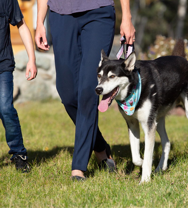A person walking a dog with a child in a grassy area.