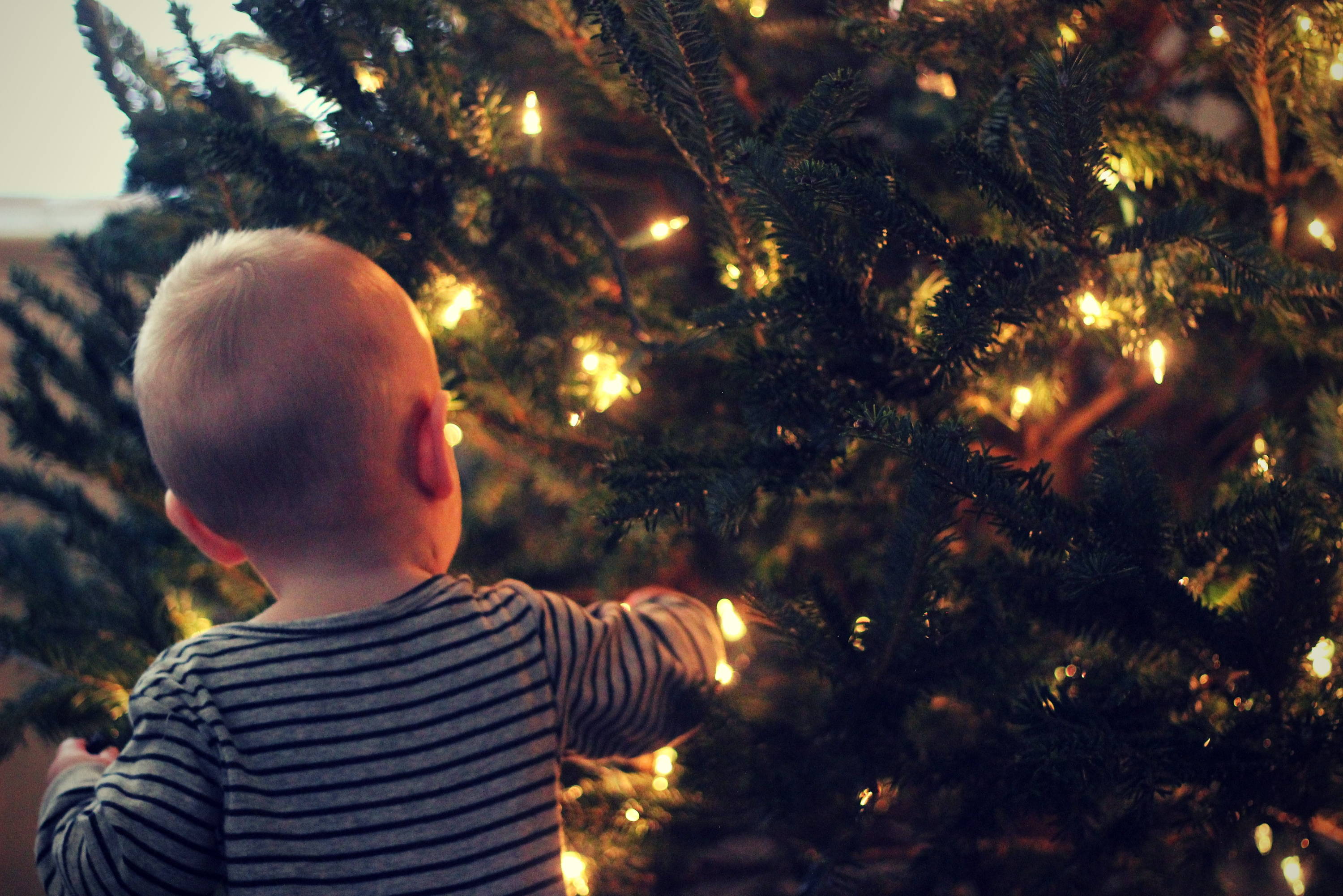 Baby with a Christmas Tree