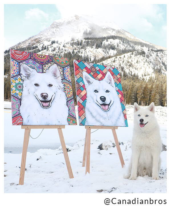 canadian bros next to canvas