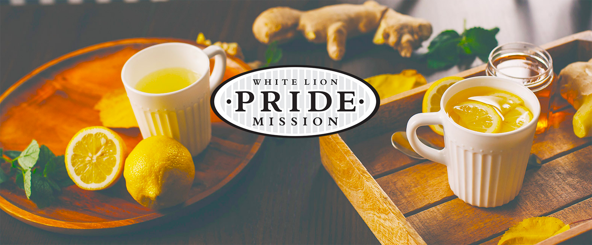 Pride Mission