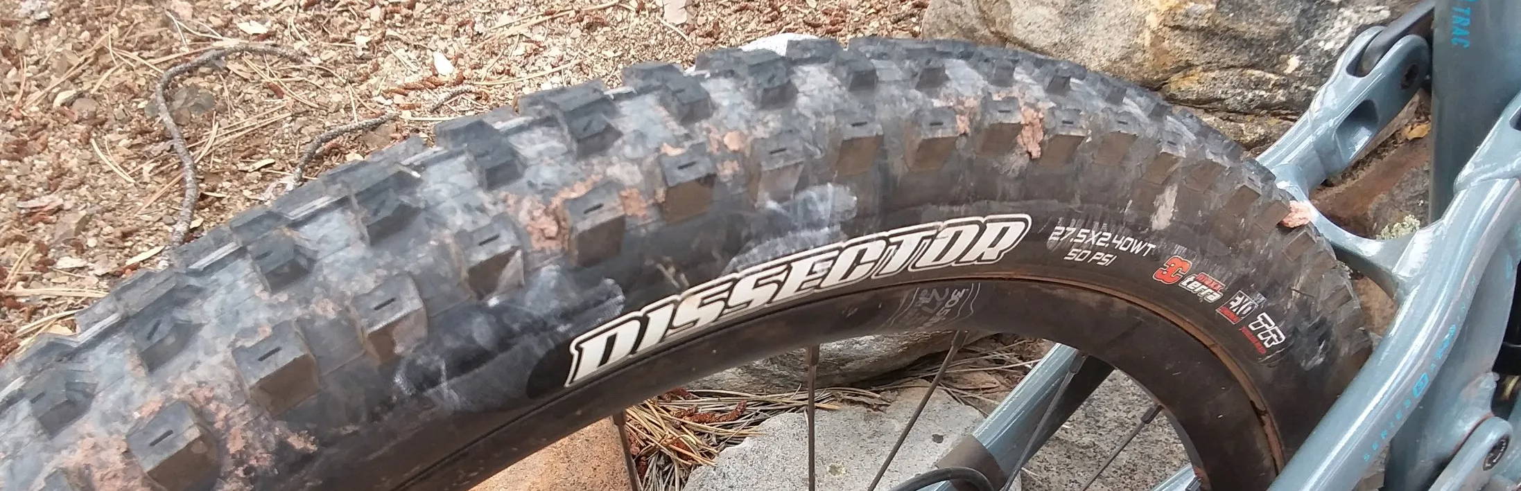 Maxxis dissector tire on a marin rifty 1 with 3c maxxterra and exo protection