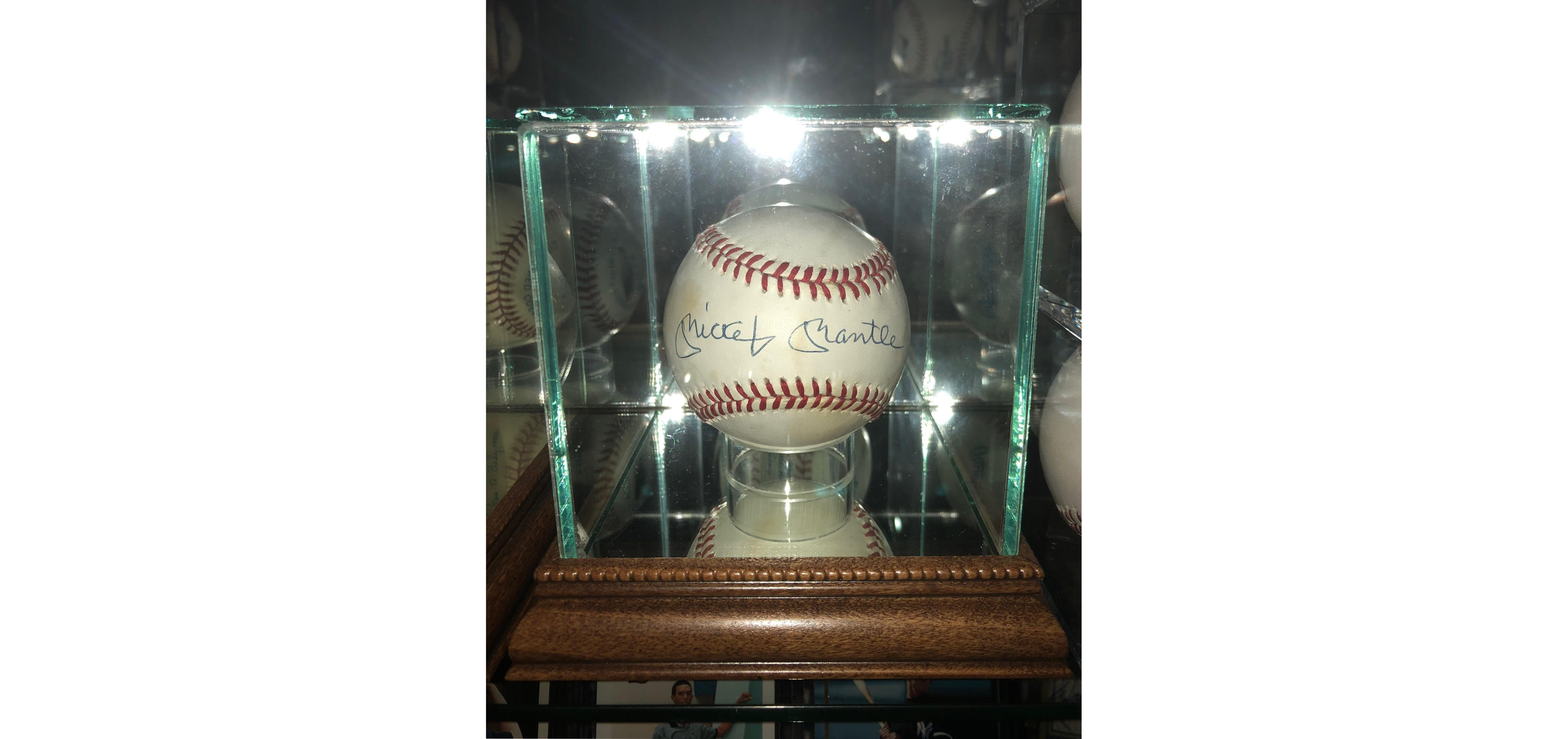 Wall Mounted Single Baseball Case