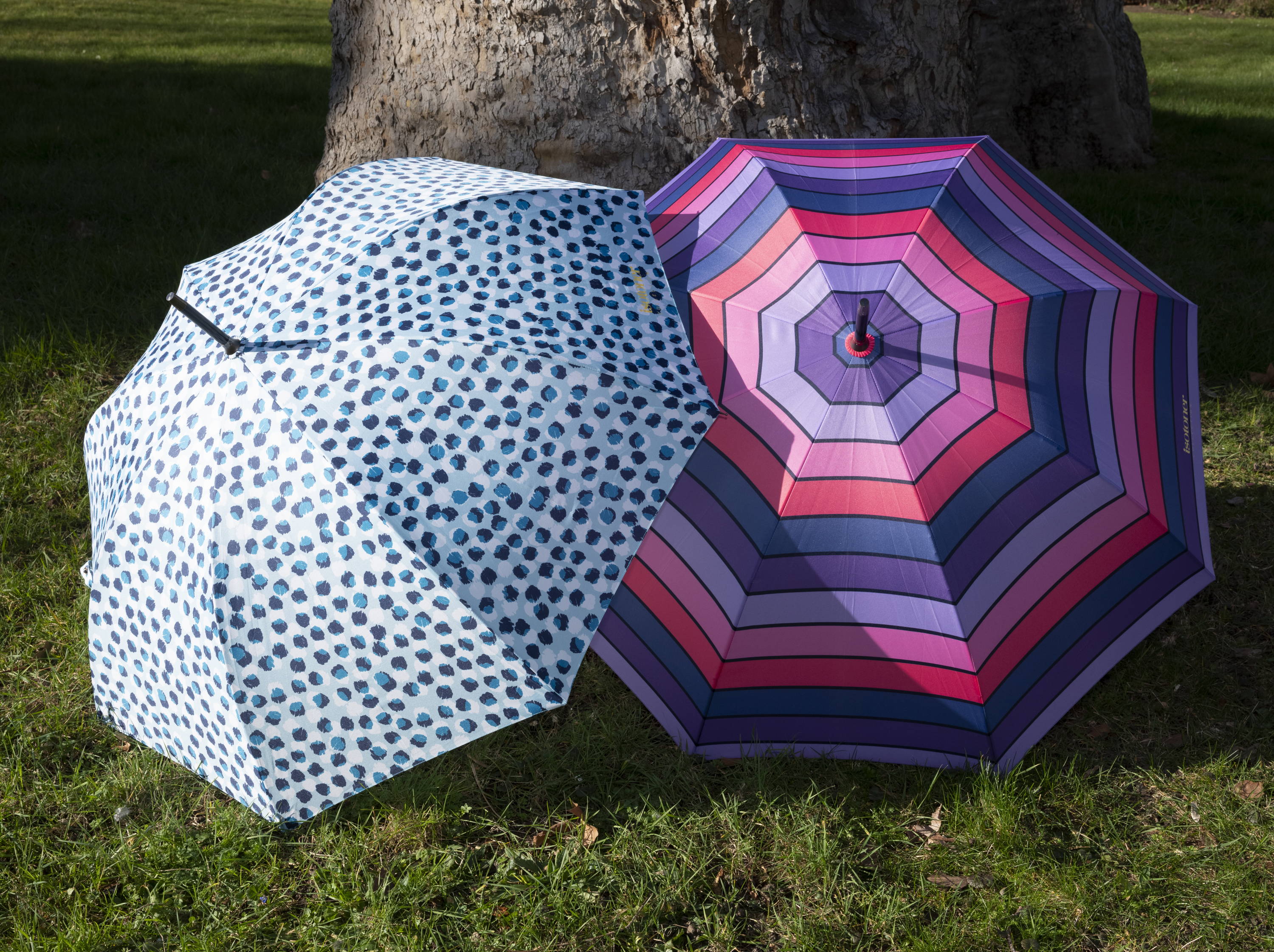 Isotoner: de casa, paraguas, chanclas, –
