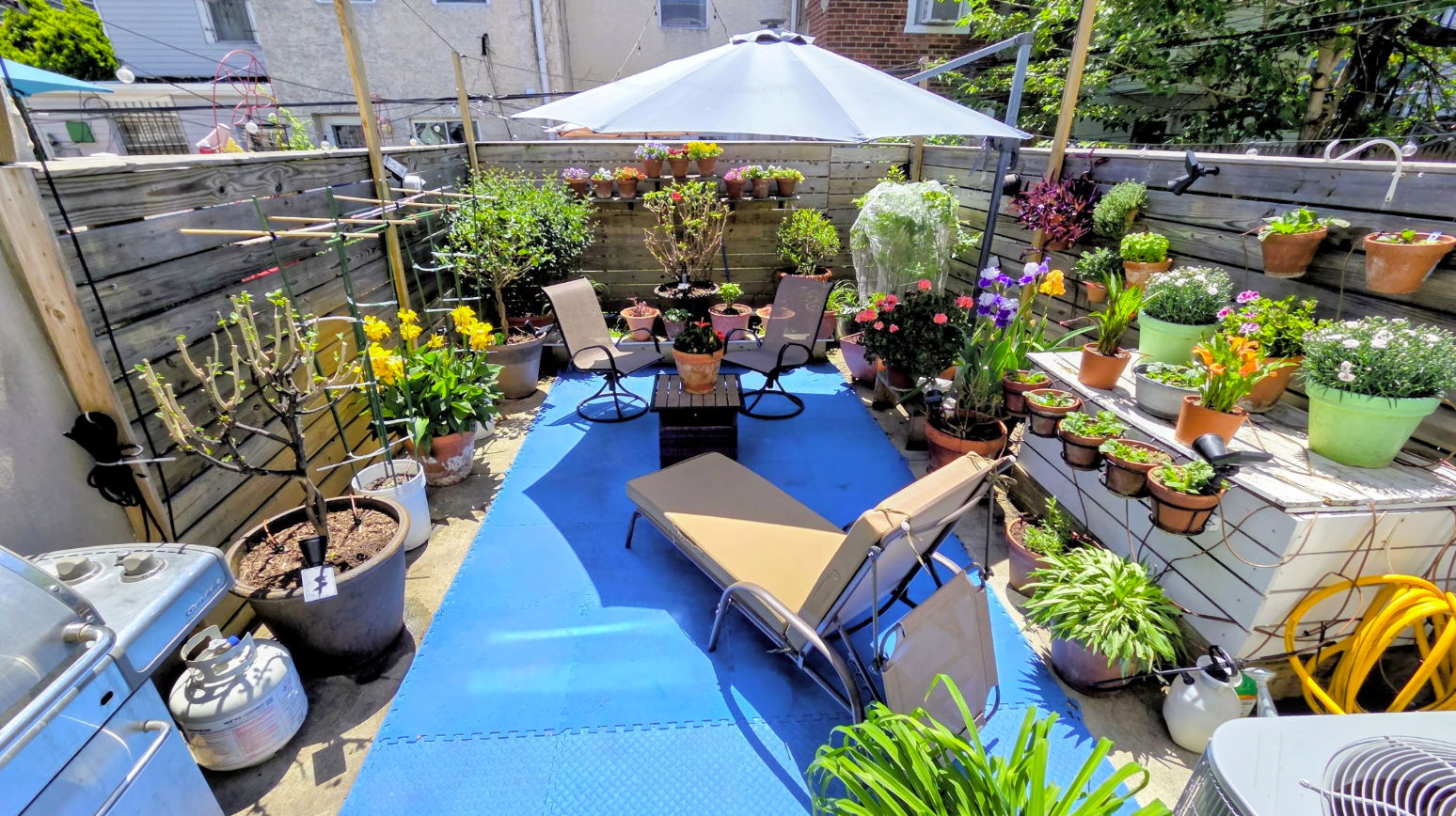 A vibrant garden patio with plants, chairs, and a sunshade.