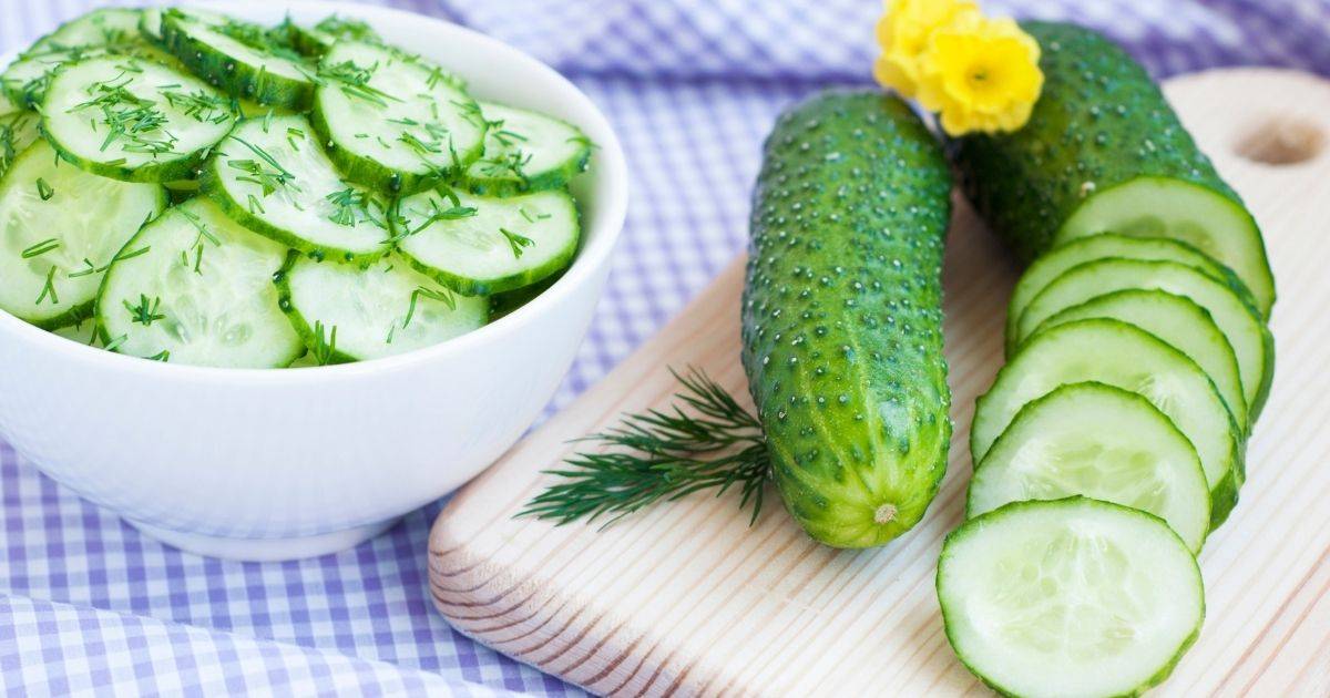 cucumber are safe vegetable for dogs