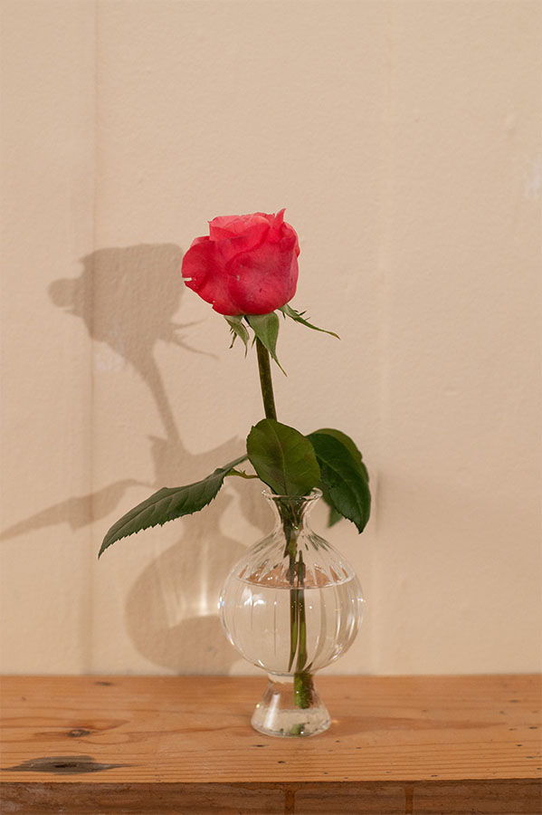 A single pink rose in a glass vase on a wooden surface.