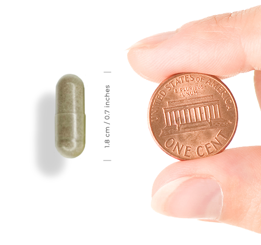 probiotic next to one cent coin