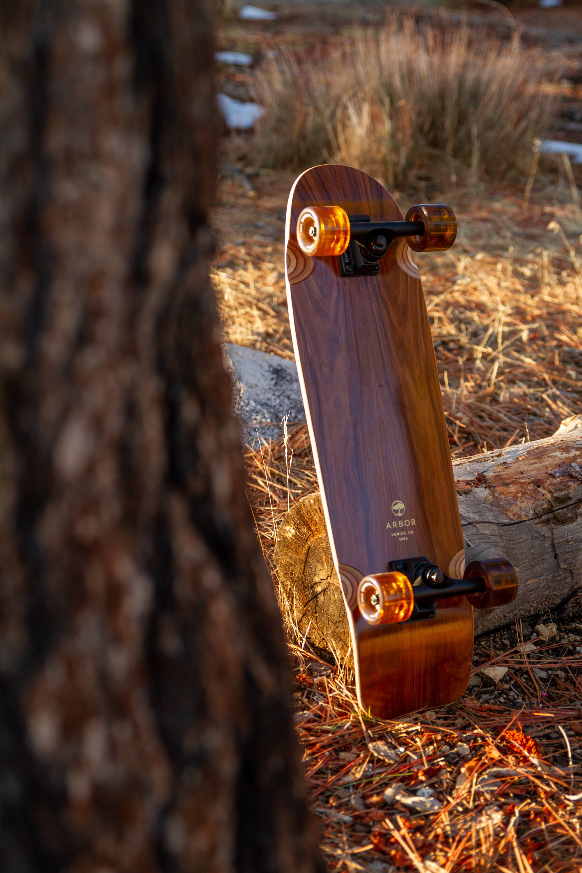 How to Clean Your Skateboard's Grip Tape — Board Blazers