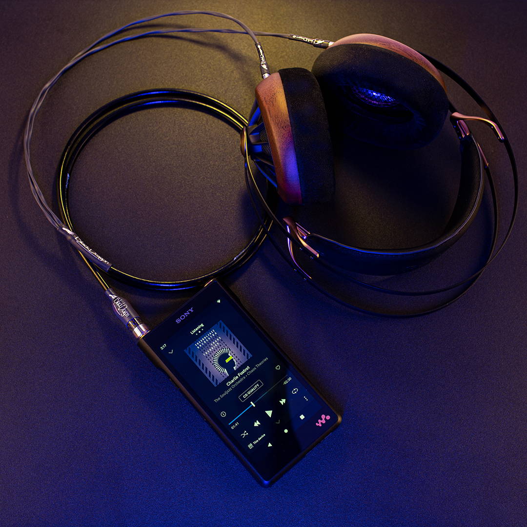 Sony NW-WM1AM2 Walkman 