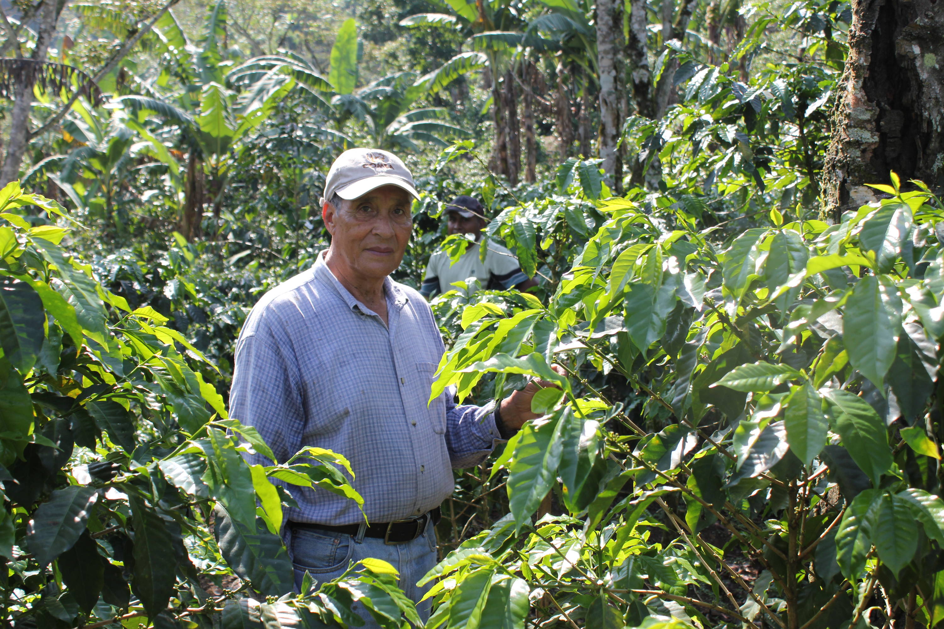 José Julio Nolasco on his farm, Finca Suita