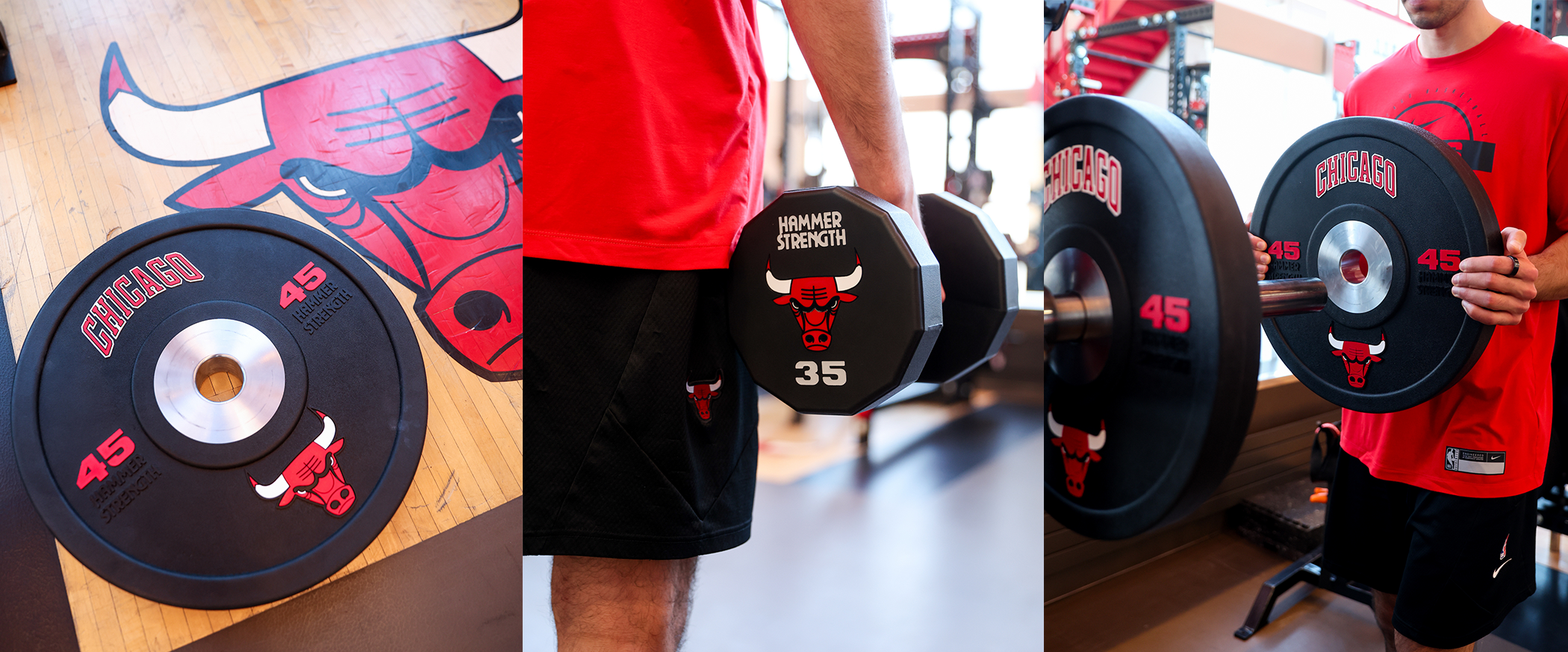 Chicago Bulls x Hammer Strength