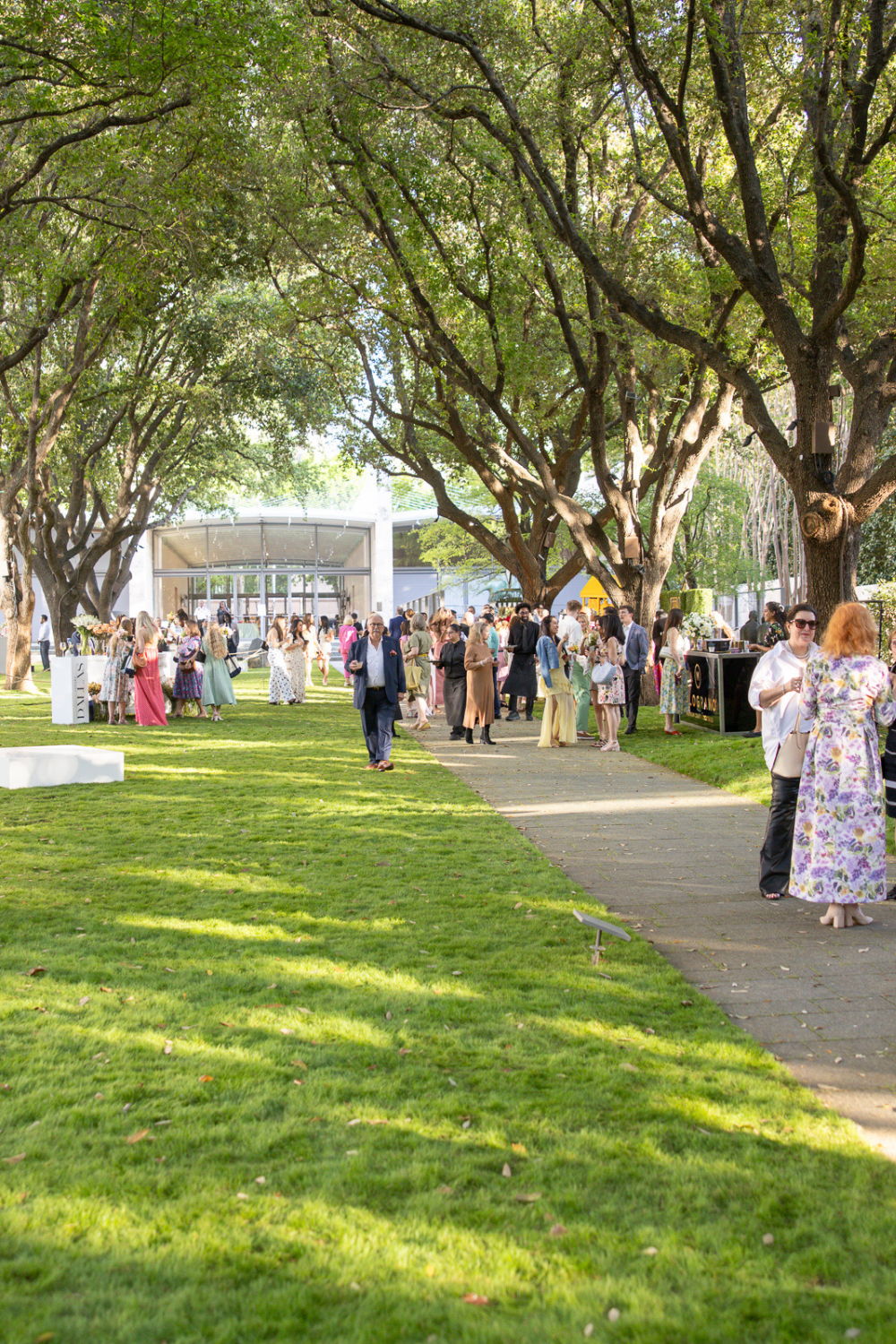 People mingling in a green park with trees and a walkway.