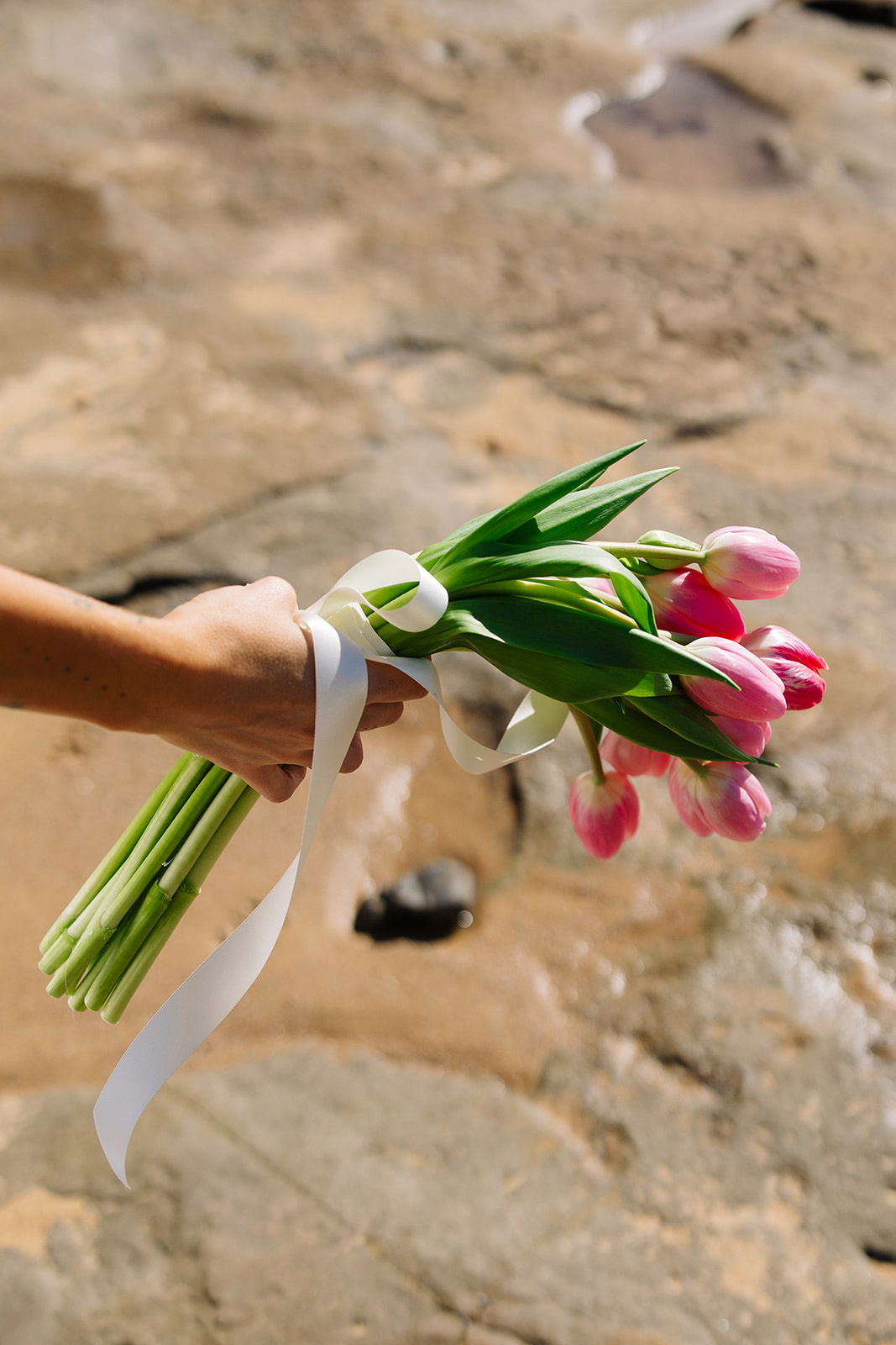 A hand holding a bouquet of pink tulips tied with a ribbon.