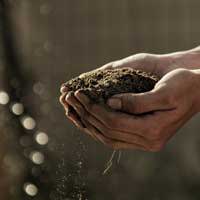 A person holding a pile of dirt in their hands