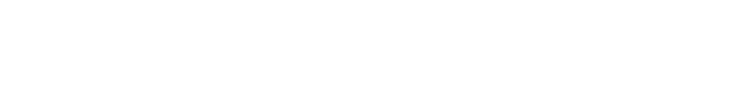 Cruise line partner